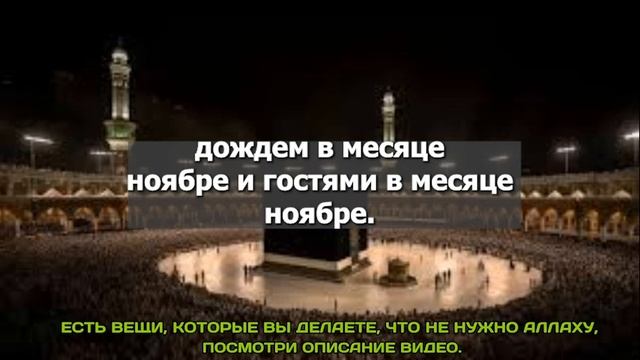 Какие проблемы вызывает оставление на ночь посуды в д? смотреть онлайн