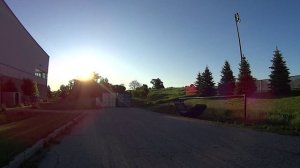 Дикая индюшка в Вудбридже.
