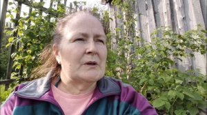 10.06.2025. В теплице поспевает урожай. Гнездо в крапиве. Создаю комфортные условия для огурцов.