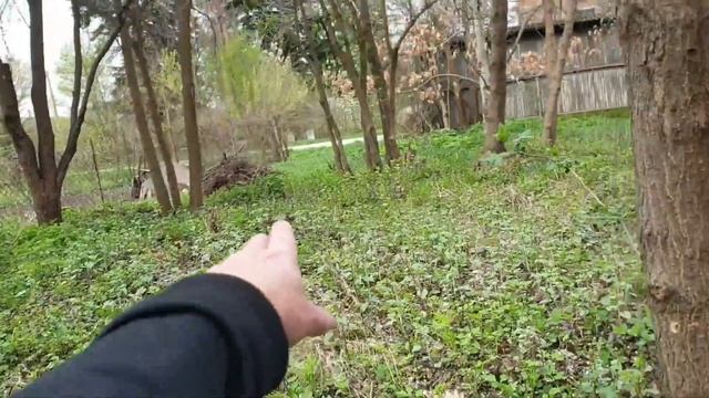 Стабильно всё вокруг 🤨 #685 смотреть онлайн