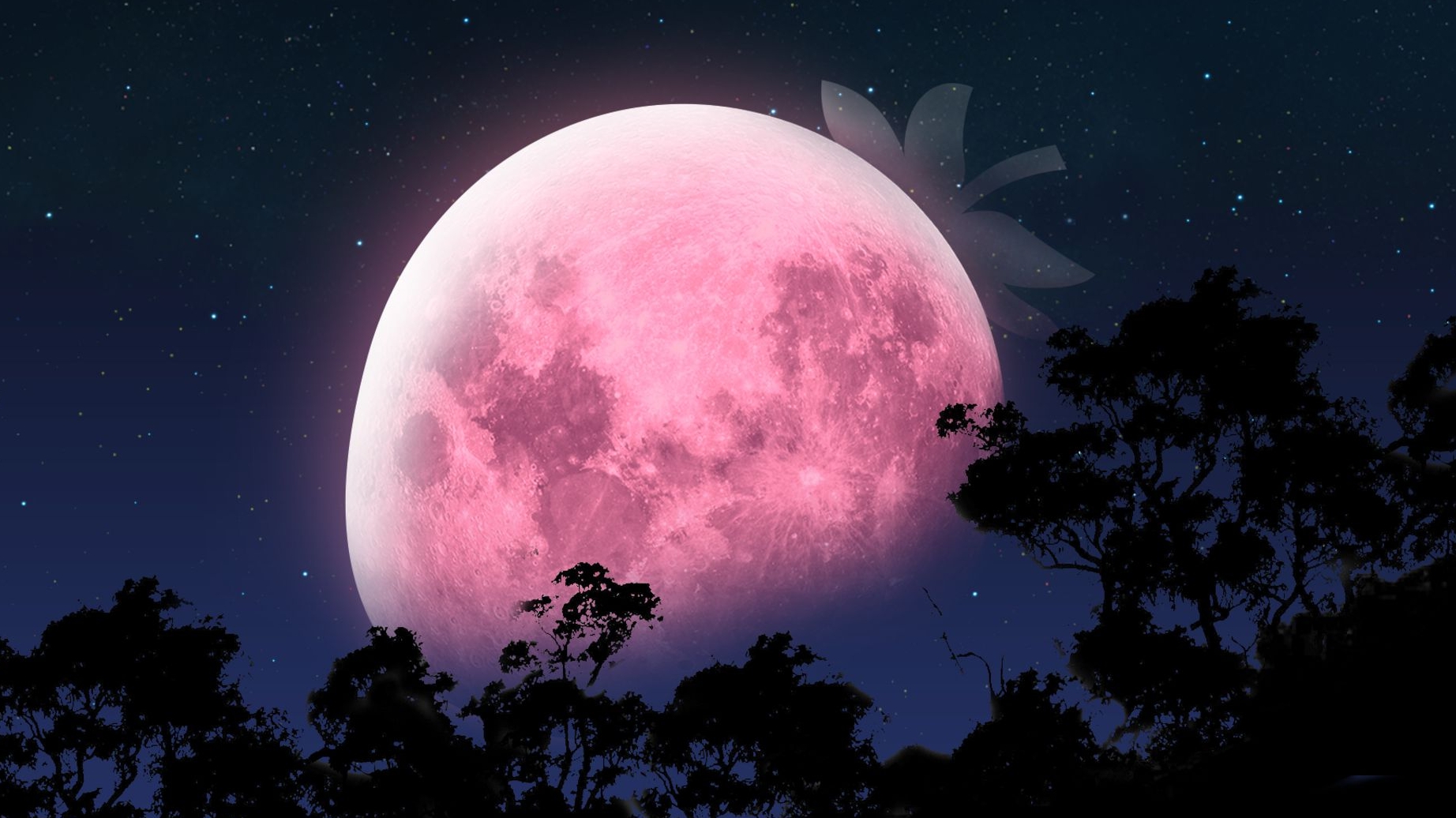 🔮🌝КЛУБНИЧНОЕ ПОЛНОЛУНИЕ- ЕГО ПЛЮСЫ И МИНУСЫ‼️🌜