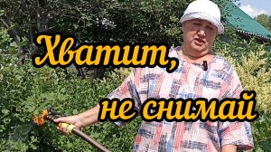 9 июня опять дача. Жара. Покупки из ФиксПрайс. Бегония.