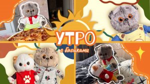 УТРО С КОТАМИ БАСИКАМИ