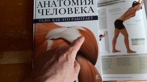 Почему немеют руки? Причиной может быть спазм и укорочение мышц вращательной манжеты плеча. 2022 год