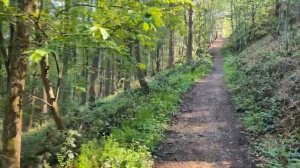 Haibike Alltrack на электровелосипеде в очень крутую гору к З?