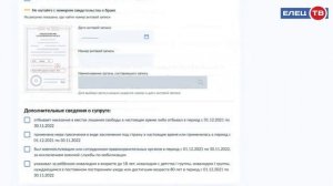 Госуслуги в помощь: единое пособие можно оформить одним заявлением на портале