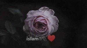 📹 Nasheed-успокаивающий нашид 2 часть 🖇️♥️ ⚘️🌹🌺🌼🌼