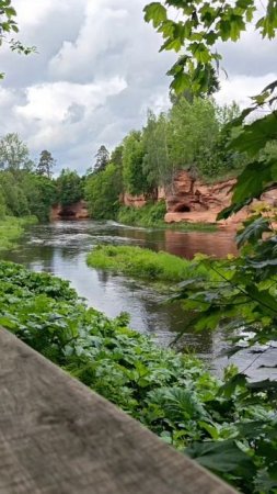 природная перспектива