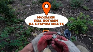 Находки под ногами.