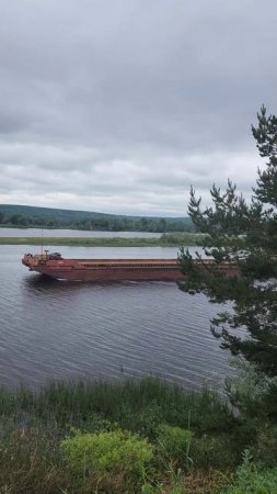 Звенигово 11/06/2025 11-35