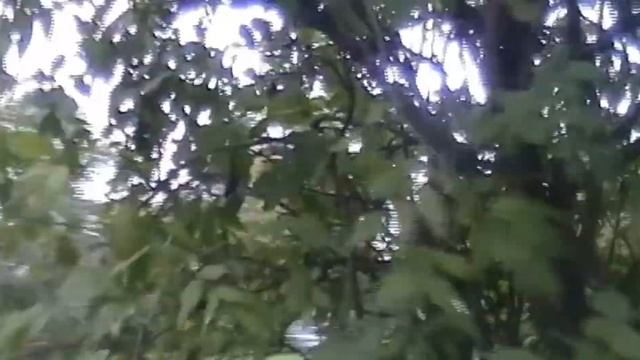 Купил старую видео камера,
Видеокамера Panasonic смотреть онлайн