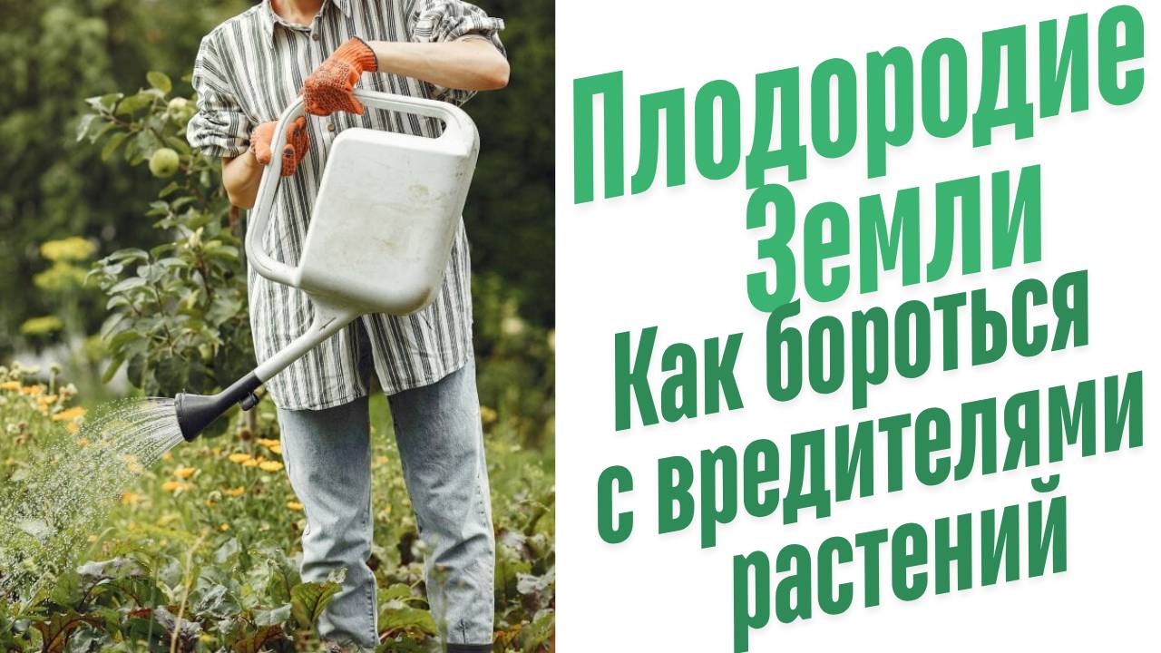 Как бороться с вредителями растений?