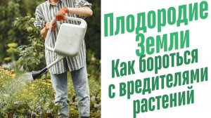 Как бороться с вредителями растений?