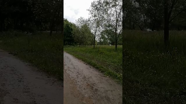 Гуляночка по бывшему парку  им. Ленина (Южно-Приморский парк)