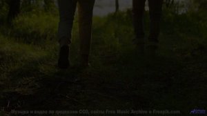 Музыка и виды вместе создают эффект погружения - Soudain -- Juniore -- Live at WFMU for Sophisticate