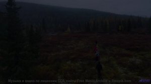 Ты будешь благодарить меня за то, что показал тебе это! - I Got To Go Now -- Anthem of Rain -- Unnam