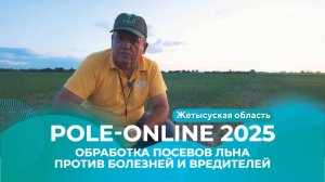 Защита посевов льна от вредителей и болезней в Жетысуской области | Pole-Online 2025 #агро #лен