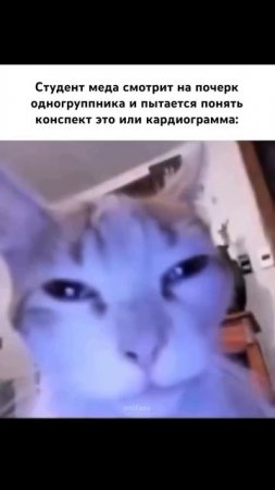 Подпишись