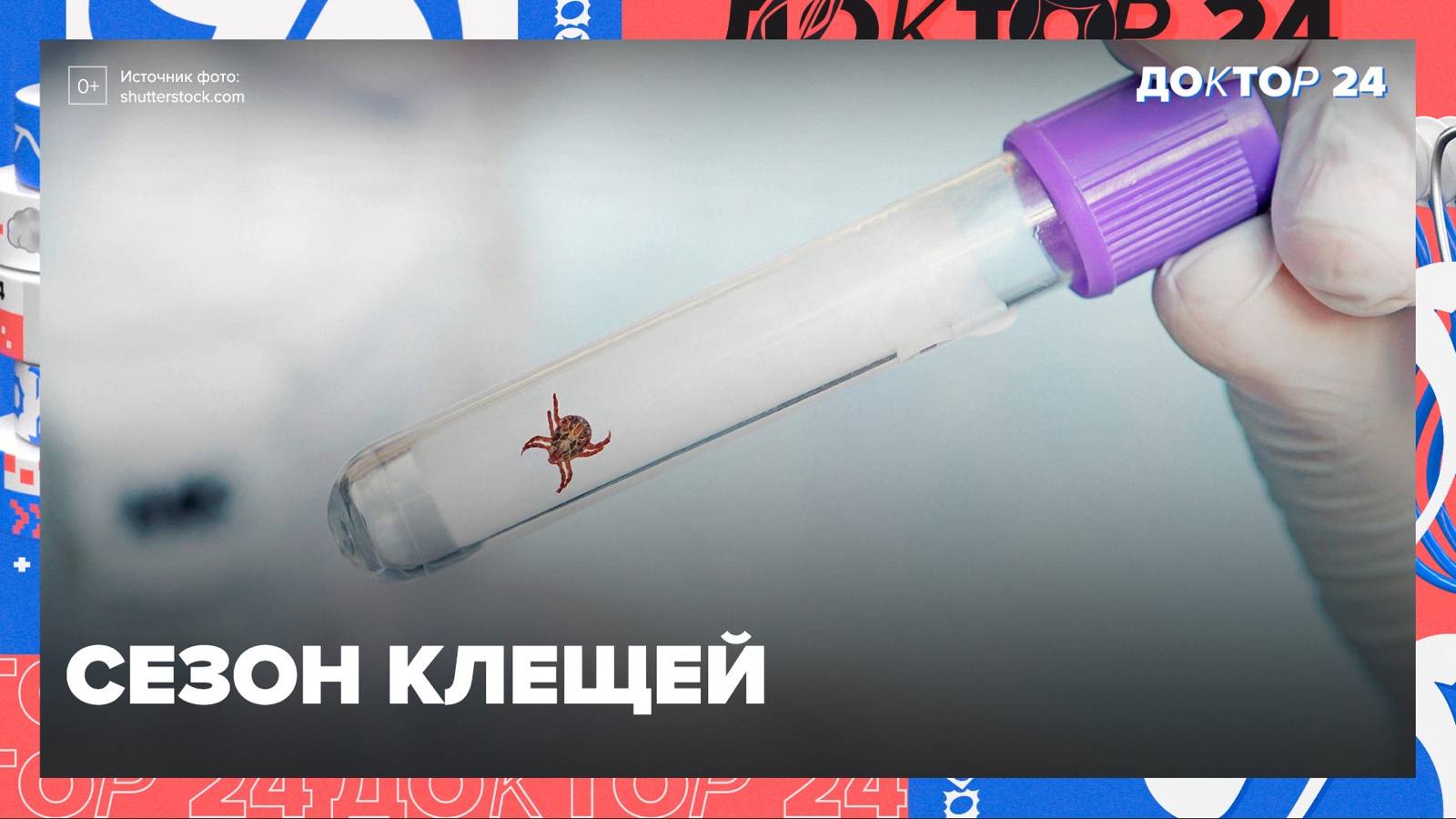 СЕЗОН КЛЕЩЕЙ, КАМНИ В ПОЧКАХ, ВИТАМИНЫ | Доктор 24