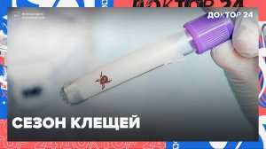 СЕЗОН КЛЕЩЕЙ, КАМНИ В ПОЧКАХ, ВИТАМИНЫ | Доктор 24