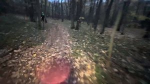 Осенняя покатушка BSE z11 и BSE T7 #z11 #t7 #эндуро #enduro #bse #edit #moto