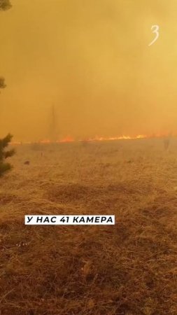 Умышленные поджоги постоянно фиксируют в Забайкалье