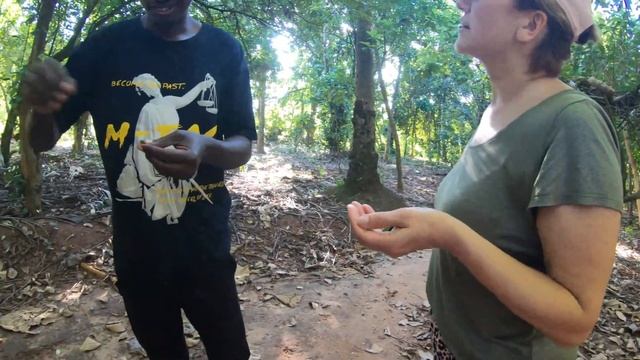 Занзибар часть 4 Отдых на Занзибар / Дельфины / Океан / Ф смотреть онлайн