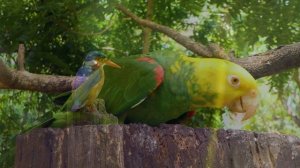 My Sky Is Dark  - Umar Keyn Умар Кейн