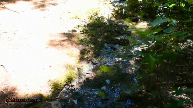 ГАСПРА ИМЕНИЕ АЙ-ТОДОР ВЕЛИКОГО КНЯЗЯ А.М. РОМАНОВА САНАТОРИЙ АЙ-ТОДОР ГАСПРА ПРОДАНО 🍎 #searuss