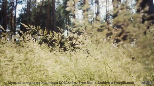 Эта композиция создана квантовой запутанностью - услышьте связь всего со всем! - Bagan Party -- Four