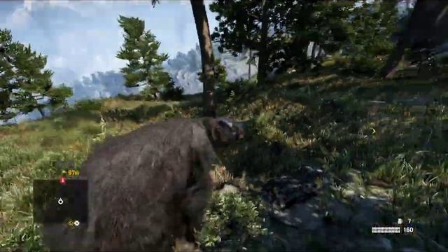 Гачи мучи медведь напал на работягу в нижнекамской ле? смотреть онлайн