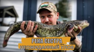 РЫБАЛКА | НЕОЖИДАННЫЙ УЛОВ | РЕКА СЕСТРА | СОМ НА ДОНКУ