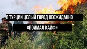 В Турции целый город неожиданно «поймал кайф»