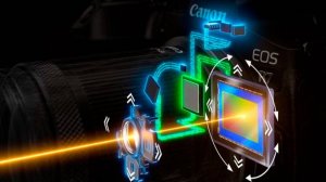 Как работает стабилизатор изображения в объективах и природе