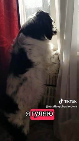 Я гуляю...)))