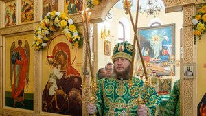 Проповедь епископа Ейского и Тимашевского Серафима в день памяти святителя Луки Крымского