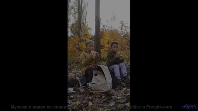 Леса становятся ближе с каждым новым аккордом - Whatever -- HoliznaCC0 -- Lo-fi And Chill