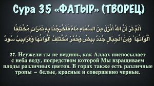 Сура 35, Фатыр (Творец) С ПЕРЕВОДОМ
