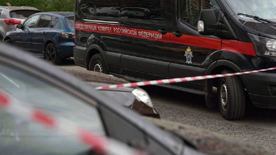 СК начал проверку после нападения приезжих на девушку в Санкт-Петербурге