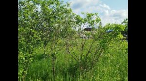 Кусинское сельское поселение, садоводческое некоммерческое товарищество Ручеёк, 9-я улица