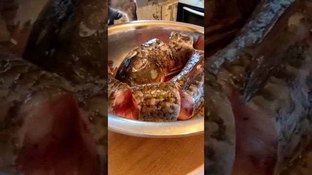 Купили рыбу! Оценка пацанов!👍🏻 всё перепутали: белый смотреть онлайн