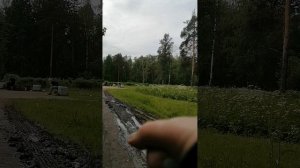 Восхитительно