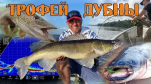 ТРОФЕЙ ДУБНЫ | ФИЛЬМ О ТУРНИРЕ