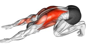 Мои ЛЕТНИЕ утренние Упражнения