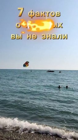 факты о которых вы не знали #мотивациянауспех #море #саморазвитие #цель #жизнь #самопознание #яхты