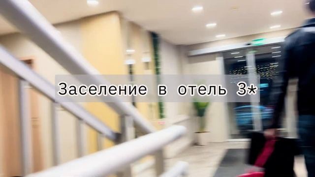 Золотое кольцо России | Ярославль⚜️ Выставка кошек ?