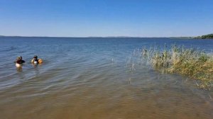 Отдых на озере Топар, нас сЪели комары. Дикий пляж