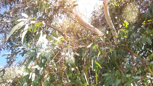 Гипнотехника "Успешно сдать экзамен" #гипноз #психолог смотреть онлайн