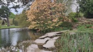 САДЫ БРИТАНИИ. БОТАНИЧЕСКИЙ  САД КЕМБРИДЖА   2025.