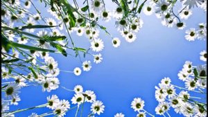 Светлана Корзухина Во всём узнаю я  Россию свою...